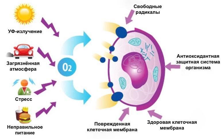 Використання окисно-відновного потенціалу у процесах водопідготовки