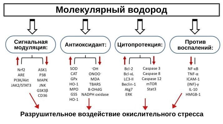 Молекулярний водень 