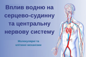 Вплив молекулярного водню на серцево-судинну центральну-нервову систему